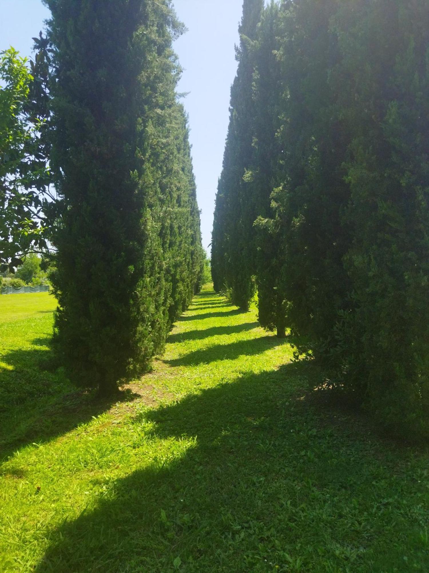 Villa Fontana Capannori Luaran gambar